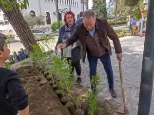Δήμος Κατερίνης: Φύτευση δέντρων από εθελοντές στο Πάρκο των Ευαγγελικών
