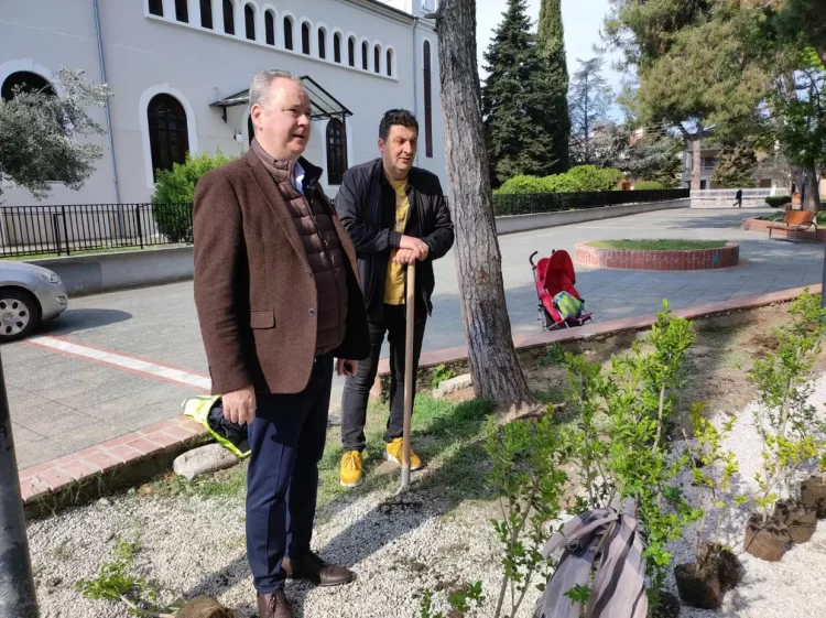 Δήμος Κατερίνης: Φύτευση δέντρων από εθελοντές στο Πάρκο των Ευαγγελικών