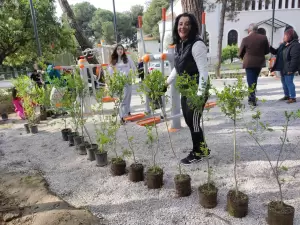 Δήμος Κατερίνης: Φύτευση δέντρων από εθελοντές στο Πάρκο των Ευαγγελικών