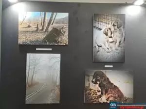 Φωτογραφική Ομάδα Κατερίνης: Η «Χαμένη Αθωότητα» σε μια  έκθεση  φωτογραφίας