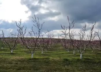 Ο Καιρός σήμερα για Κατερίνη και Πιερία: Συννεφιά και βροχές και την Τετάρτη