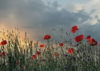Ο Καιρός σήμερα για Κατερίνη και Πιερία: Μεγάλο Σάββατο με συννεφιά