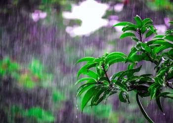 Καιρός: Βροχές και καταιγίδες το τριήμερο της Πρωτομαγιάς – Πού θα είναι έντονα τα φαινόμενα