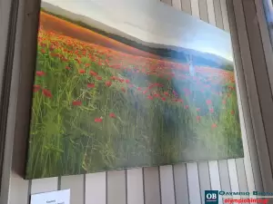 Κατερίνη: Εγκαίνια της Ομαδικής έκθεση ζωγραφικής με τίτλο «Του Ονείρου»