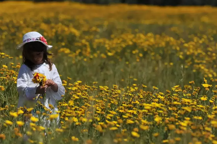 Μερομήνια – Με τι καιρό θα κάνουμε Πάσχα