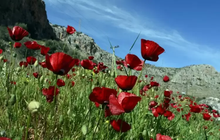 Οι βροχές ανά ώρα την Κυριακή του Πάσχα – Μπόρες και τη Μεγάλη Παρασκευή