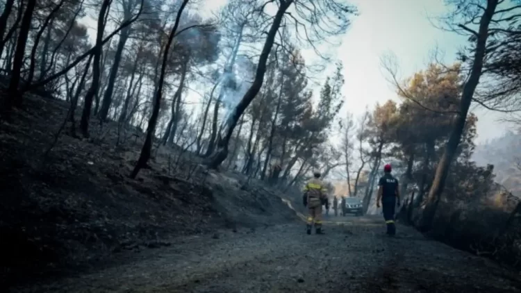 Πυροσβεστική Υπηρεσία Πιερίας: Έλεγχοι για αντιπυρικές ζώνες και πρόστιμα
