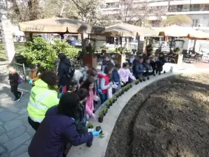 Στο Δημοτικό πάρκο Κατερίνης «μικροί κηπουροί» φύτευσαν λουλούδια