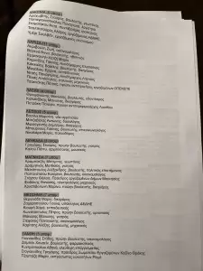 ΣΥΡΙΖΑ: Αυτά είναι τα ψηφοδέλτια του