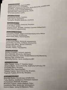 ΣΥΡΙΖΑ: Αυτά είναι τα ψηφοδέλτια του