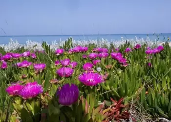 Ο Καιρός σήμερα για Κατερίνη και Πιερία: Πρωτομαγιά με συννεφιά και τοπικές βροχές κυρίως μετά το μεσημέρι