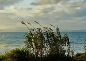 Ο Καιρός σήμερα για Κατερίνη και Πιερία: Αίθριος με συννεφιά το Σάββατο