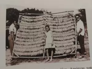 «Τα Πιέρια της περιόδου 1350 έως 1970» - Ο Νικόλαος Κωστόπουλος, σε μια συνέντευξη… μάθημα ιστορίας! «Τα Πιέρια της περιόδου 1350 έως 1970» – Ο Νικόλαος Κωστόπουλος, σε μια συνέντευξη… μάθημα ιστορίας!