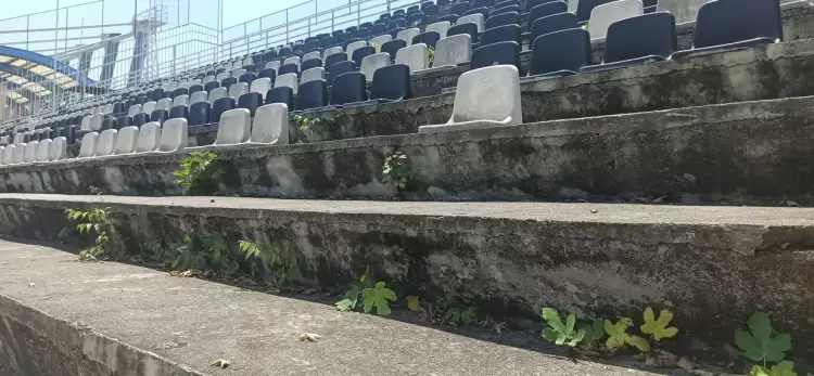 Α΄ Δημοτικό Αθλητικό Κέντρο Κατερίνης: Εικόνες εγκατάλειψης και ντροπής (εικόνες & βίντεο) Α΄ Δημοτικό Αθλητικό Κέντρο Κατερίνης: Εικόνες εγκατάλειψης και ντροπής