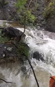 Αυτόματο προσχέδιο