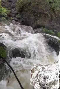 Αυτόματο προσχέδιο