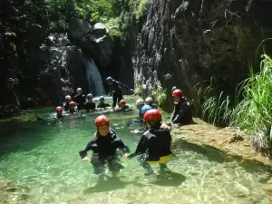 Αυτόματο προσχέδιο