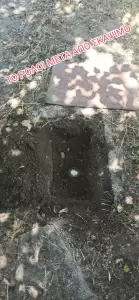 Α΄ Δημοτικό Αθλητικό Κέντρο Κατερίνης: Εικόνες εγκατάλειψης και ντροπής (εικόνες & βίντεο) Α΄ Δημοτικό Αθλητικό Κέντρο Κατερίνης: Εικόνες εγκατάλειψης και ντροπής