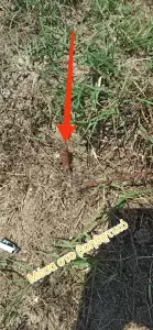 Α΄ Δημοτικό Αθλητικό Κέντρο Κατερίνης: Εικόνες εγκατάλειψης και ντροπής (εικόνες & βίντεο) Α΄ Δημοτικό Αθλητικό Κέντρο Κατερίνης: Εικόνες εγκατάλειψης και ντροπής