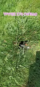 Α΄ Δημοτικό Αθλητικό Κέντρο Κατερίνης: Εικόνες εγκατάλειψης και ντροπής (εικόνες & βίντεο) Α΄ Δημοτικό Αθλητικό Κέντρο Κατερίνης: Εικόνες εγκατάλειψης και ντροπής