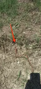 Α΄ Δημοτικό Αθλητικό Κέντρο Κατερίνης: Εικόνες εγκατάλειψης και ντροπής (εικόνες & βίντεο) Α΄ Δημοτικό Αθλητικό Κέντρο Κατερίνης: Εικόνες εγκατάλειψης και ντροπής