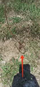 Α΄ Δημοτικό Αθλητικό Κέντρο Κατερίνης: Εικόνες εγκατάλειψης και ντροπής (εικόνες & βίντεο) Α΄ Δημοτικό Αθλητικό Κέντρο Κατερίνης: Εικόνες εγκατάλειψης και ντροπής