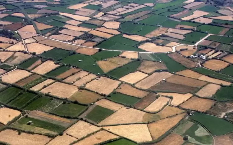 Εκτός σχεδίου δόμηση: Νέο «βραχυκύκλωμα» από το ΣτΕ Εκτός σχεδίου δόμηση: Νέο «βραχυκύκλωμα» από το ΣτΕ