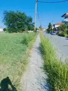 Κατερίνη: Μεγάλο πρόβλημα με την οργιώδη βλάστηση αντιμετωπίζει κάθε γωνιά της πόλης Κατερίνη: Μεγάλο πρόβλημα με την οργιώδη βλάστηση αντιμετωπίζει κάθε γωνιά της πόλης