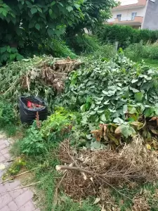 Κατερίνη: Μεγάλο πρόβλημα με την οργιώδη βλάστηση αντιμετωπίζει κάθε γωνιά της πόλης Κατερίνη: Μεγάλο πρόβλημα με την οργιώδη βλάστηση αντιμετωπίζει κάθε γωνιά της πόλης