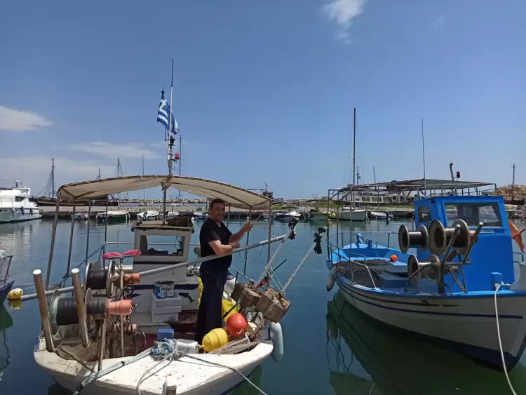 Τα δίχτυα των αλιέων… «μεζές» για τα δελφίνια!