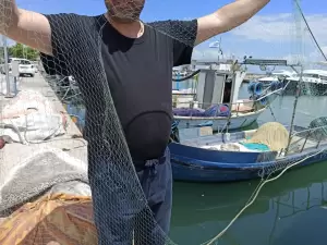 Τα δίχτυα των αλιέων… «μεζές» για τα δελφίνια!