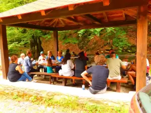 Άνω Μηλιά Πιερίας: Εικαστική παρέμβαση – Συμπόσιο γλυπτικής