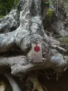 Άνω Μηλιά Πιερίας - Πιέρια Όρη: Δημόσια γλυπτοθήκη δημιουργούν τρεις εικαστικοί του ΑΠΘ Άνω Μηλιά Πιερίας – Πιέρια Όρη: Δημόσια γλυπτοθήκη δημιουργούν τρεις εικαστικοί του ΑΠΘ