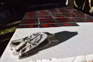 Άνω Μηλιά Πιερίας - Πιέρια Όρη: Δημόσια γλυπτοθήκη δημιουργούν τρεις εικαστικοί του ΑΠΘ Άνω Μηλιά Πιερίας – Πιέρια Όρη: Δημόσια γλυπτοθήκη δημιουργούν τρεις εικαστικοί του ΑΠΘ