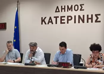 Δημοτικό Συμβούλιο Κατερίνης: Προβλημάτισε η διαχείριση των αδέσποτων εν μέσω θέρους 