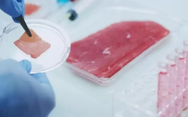 Εργαστηριακό κοτόπουλο