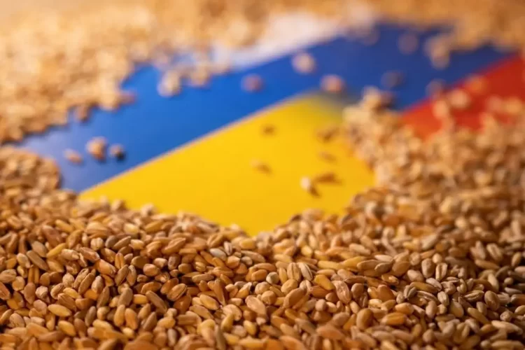 Ευρωπαϊκή Ένωση: Εξετάζει το ενδεχόμενο να κάνει πίσω για να σωθεί η συμφωνία για τα σιτηρά