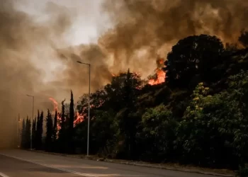 Φωτιές: Ολονύχτιες μάχες σε διάφορες περιοχές της χώρας