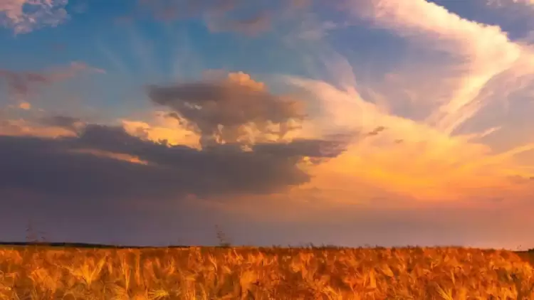 Ο Καιρός σήμερα Παρασκευή 21/7 για Κατερίνη και Πιερία: “Ζεστή” Παρασκευή με πολύ υψηλές θερμοκρασίες Ο Καιρός σήμερα Παρασκευή 21/7 για Κατερίνη και Πιερία: “Ζεστή” Παρασκευή με πολύ υψηλές θερμοκρασίες