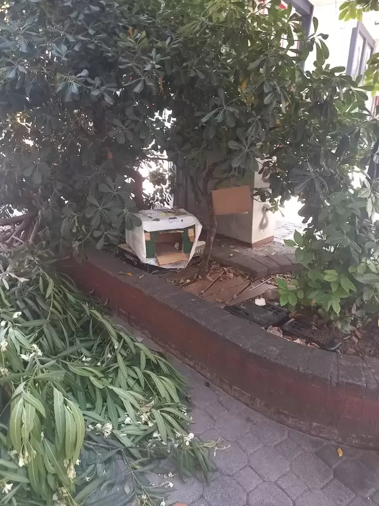 Κατερίνη: Από τα στραβά και τα ανάποδα της πόλης