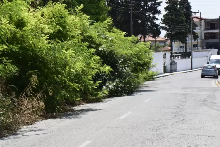 Κατερίνη: Δίπλα στο νεκροταφείο της Αγ. Αικατερίνης