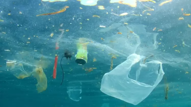 Ο κίνδυνος της ανεπανόρθωτης βλάβης της ζωής στην θάλασσα