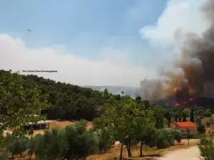 Σώθηκε ο Ιερός Ναός του Οσίου Παϊσίου του Αγιορείτου στα Δερβενοχώρια – Βοιωτίας