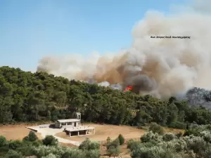 Σώθηκε ο Ιερός Ναός του Οσίου Παϊσίου του Αγιορείτου στα Δερβενοχώρια – Βοιωτίας