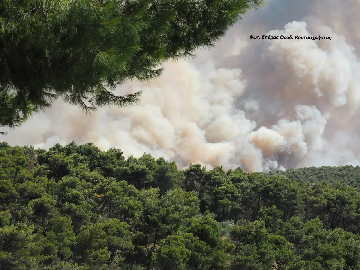 Σπυρίδων Θεοδ. Κουτσοχρήστος: Ευχαριστήρια επιστολή στους συναδέλφους μου και στον πρόεδρο του Ερευνητικού Κέντρου "Δημόκριτος" Σπυρίδων Κουτσοχρήστος: Ευχαριστήρια επιστολή στους συναδέλφους μου και στον πρόεδρο του Ερευνητικού Κέντρου “Δημόκριτος”