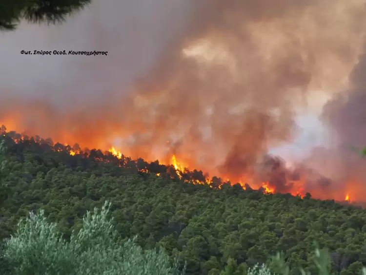 Σπυρίδων Θεοδ. Κουτσοχρήστος: Ευχαριστήρια επιστολή στους συναδέλφους μου και στον πρόεδρο του Ερευνητικού Κέντρου "Δημόκριτος" Σπυρίδων Κουτσοχρήστος: Ευχαριστήρια επιστολή στους συναδέλφους μου και στον πρόεδρο του Ερευνητικού Κέντρου “Δημόκριτος”