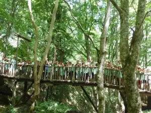 Συνεχίζεται η λειτουργία Κατασκηνώσεων στην Ιερά Μητρόπολη Κίτρους