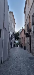 Η Θρακική Εστία Κατερίνης στην Ίμπιζα της Ισπανίας