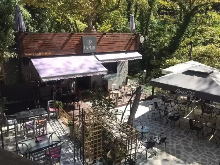 Τιμητική διάκριση για το "Pimpleia" στο Λιτόχωρο Τιμητική διάκριση για το “pimpleia” στο Λιτόχωρο