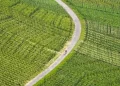 Εγκρίθηκαν οι πρώτες αιτήσεις για τον «Πράσινο Αγροτουρισμό»